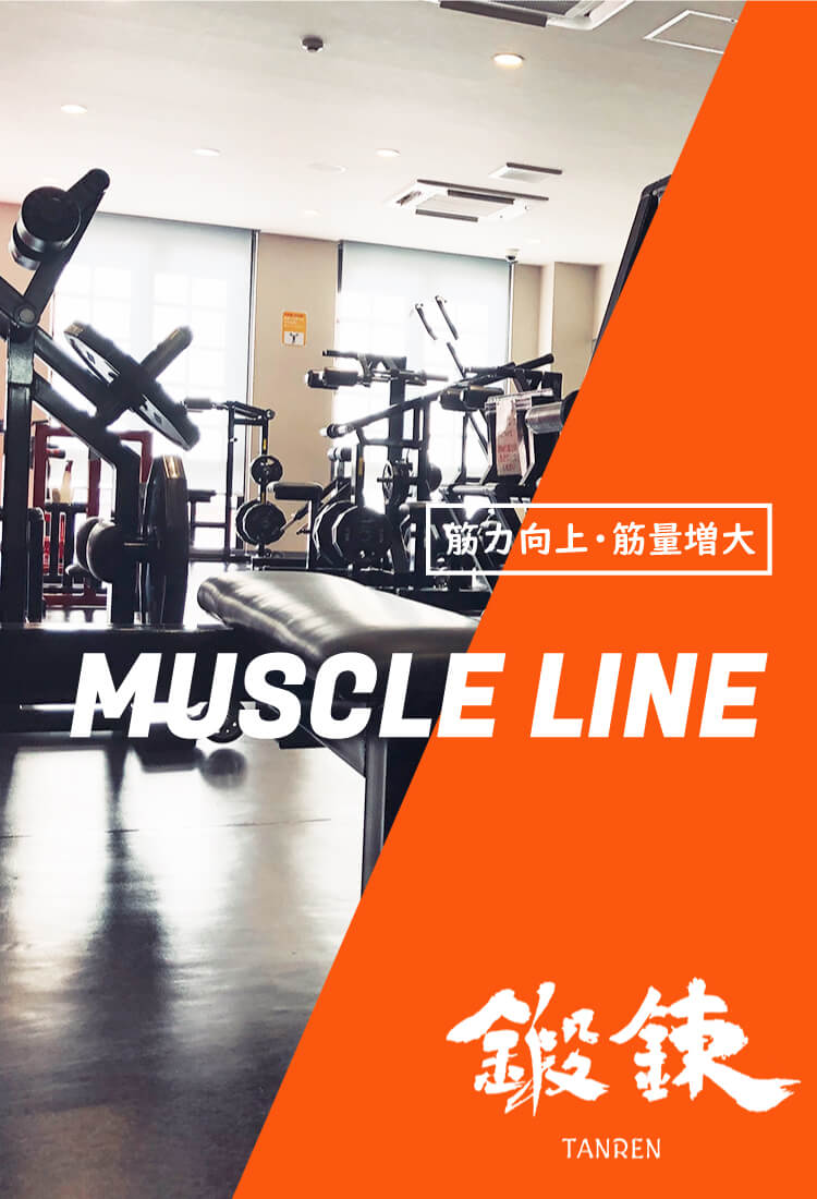 muscle_sp